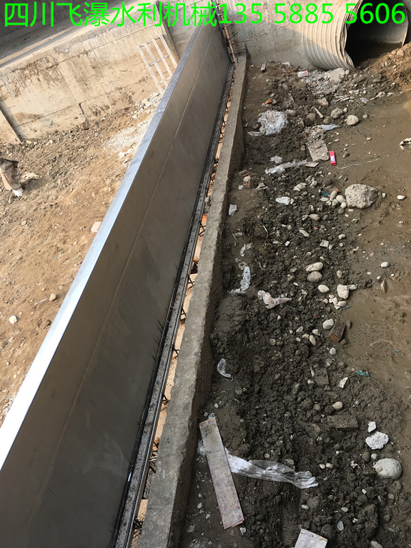 ���P�Һ�������l